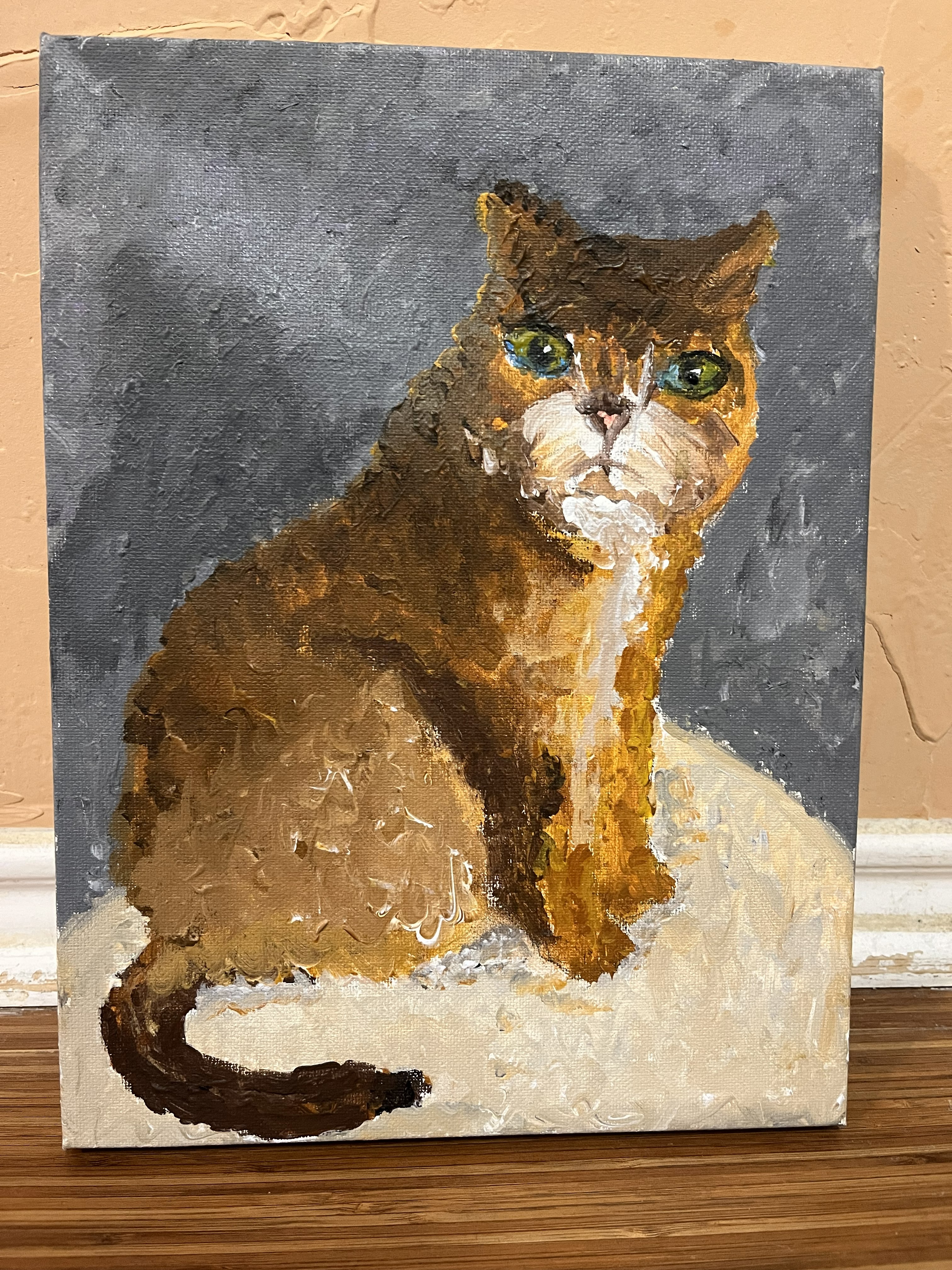 An unusual cat sitting on a table against a background